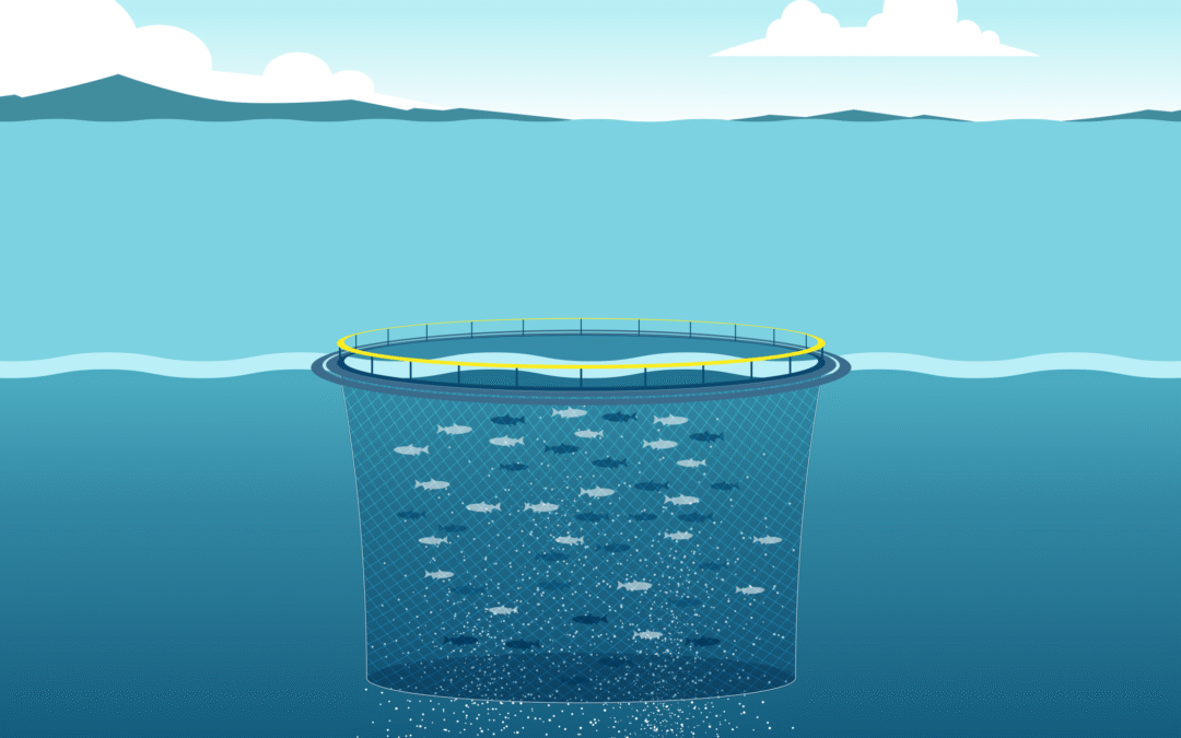 How Biomolecular Solutions Can Make Fish Farming Sustainable