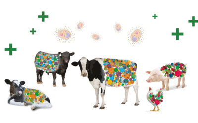 Extracting Yeast Bioactives – Process Matters