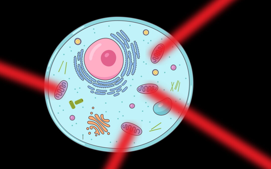 Dr Liisa Laakso | A Ray of Hope for Mitochondrial Disease