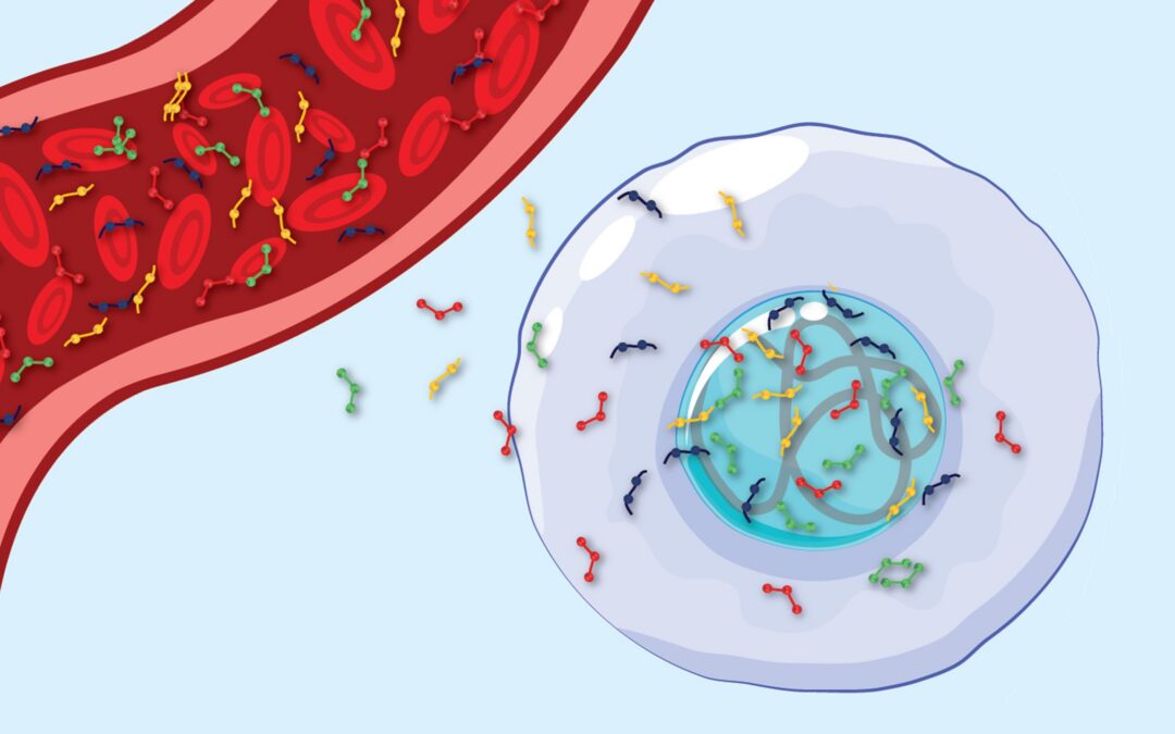 Professor Indraneel Mittra | Horizontally Transferred Cell-Free Chromatin Particles: A New Frontier in Mammalian Genomics