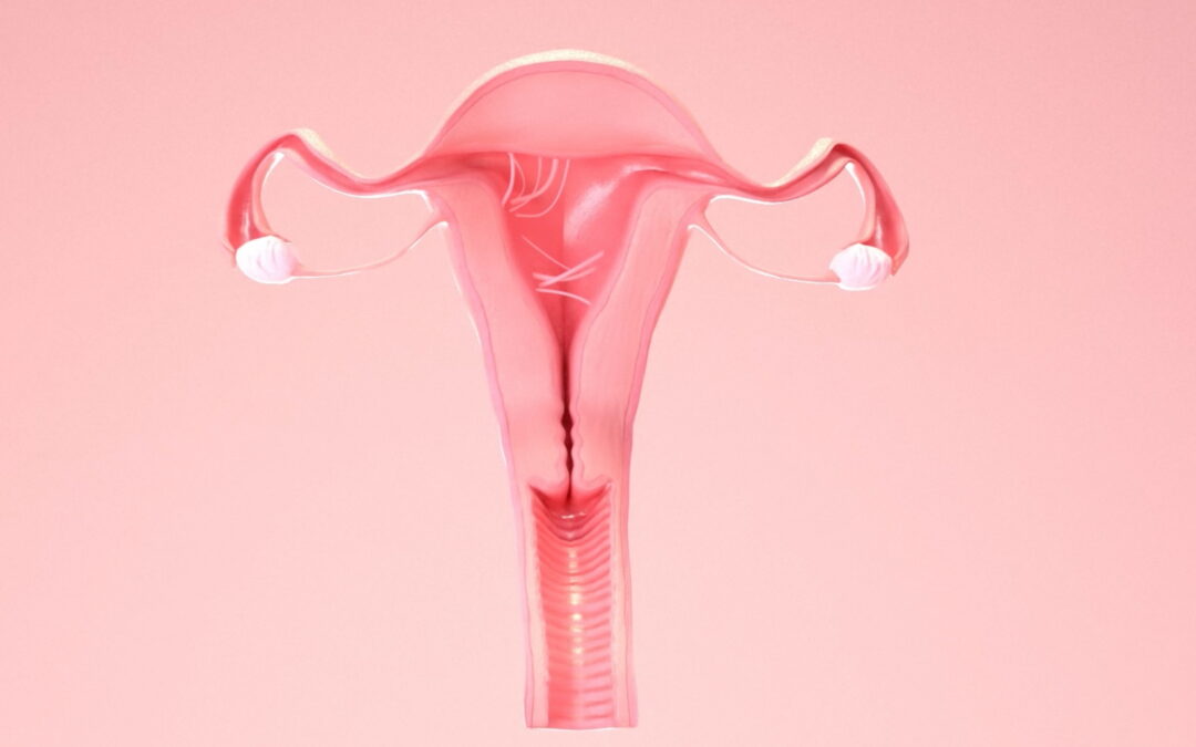 Dr. Angelo Hooker | Understanding Intrauterine Scarring to Improve Fertility and Pregnancy Outcomes