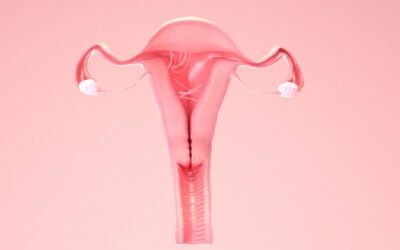 Dr. Angelo Hooker | Understanding Intrauterine Scarring to Improve Fertility and Pregnancy Outcomes