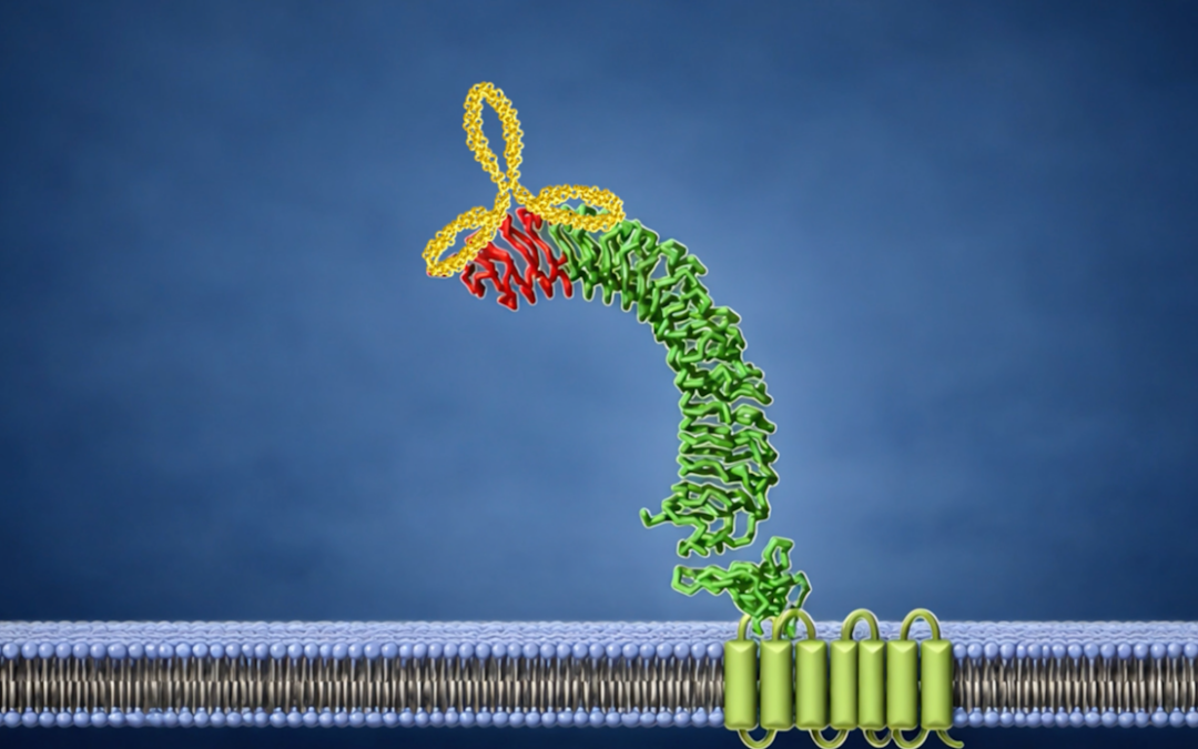 Marc de la Roche – Maike de la Roche | A New Route to Precision Cancer Immunotherapy