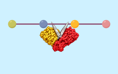 Dr Brent Iverson | Why a Key COVID-19 Antiviral Is Still Working After Years of Use